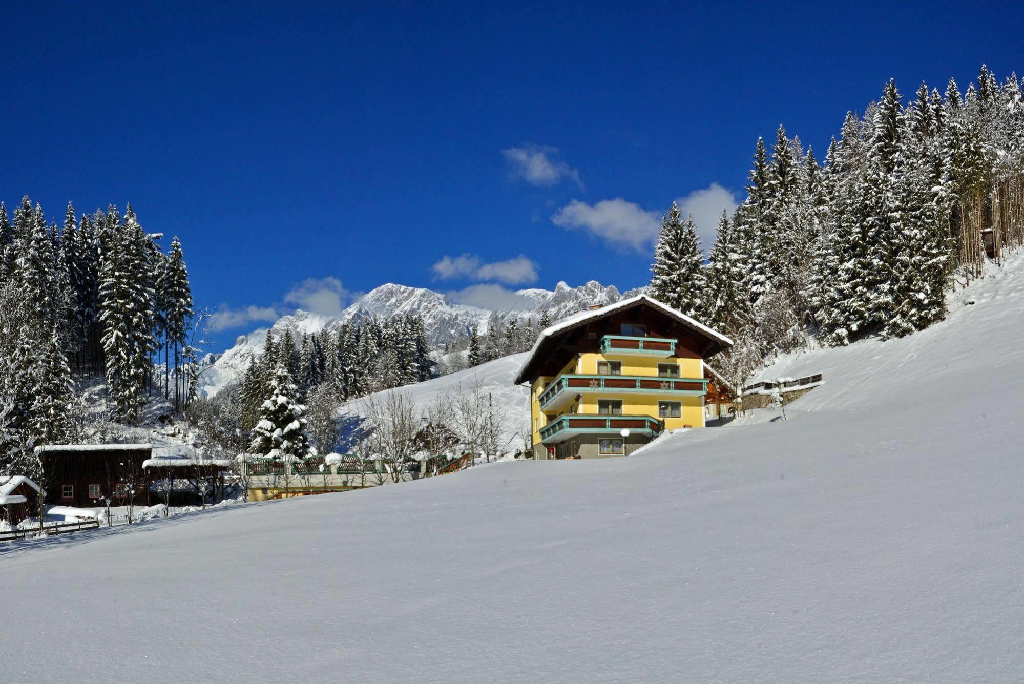 Haus Elisabeth Panzió Mühlbach am Hochkönig Kültér fotó