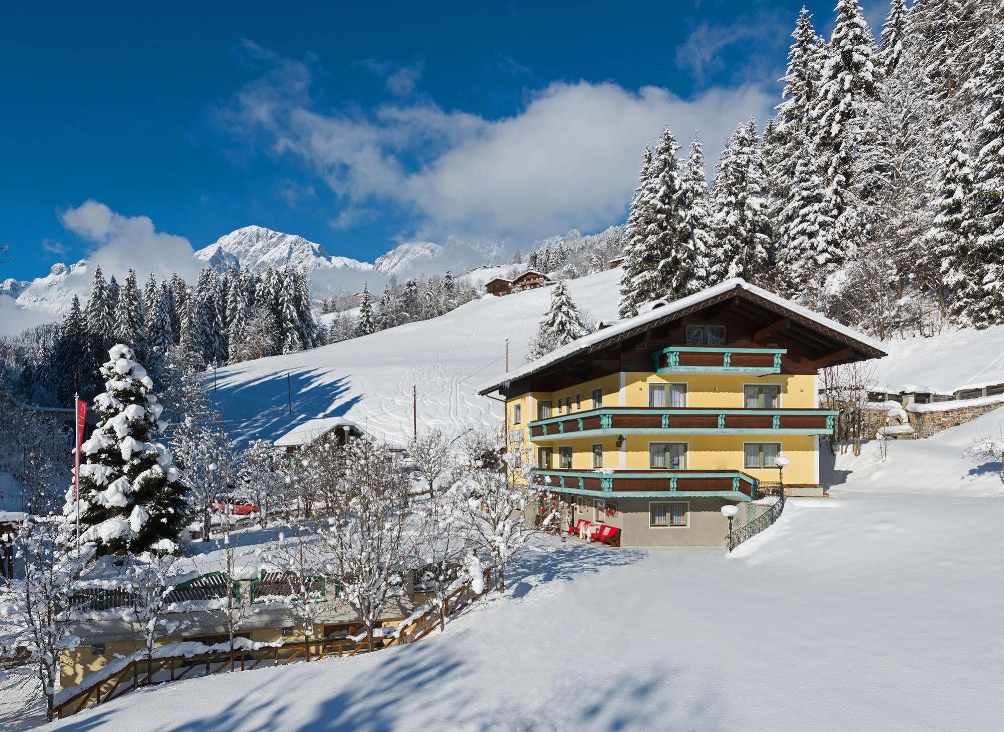Haus Elisabeth Panzió Mühlbach am Hochkönig Kültér fotó