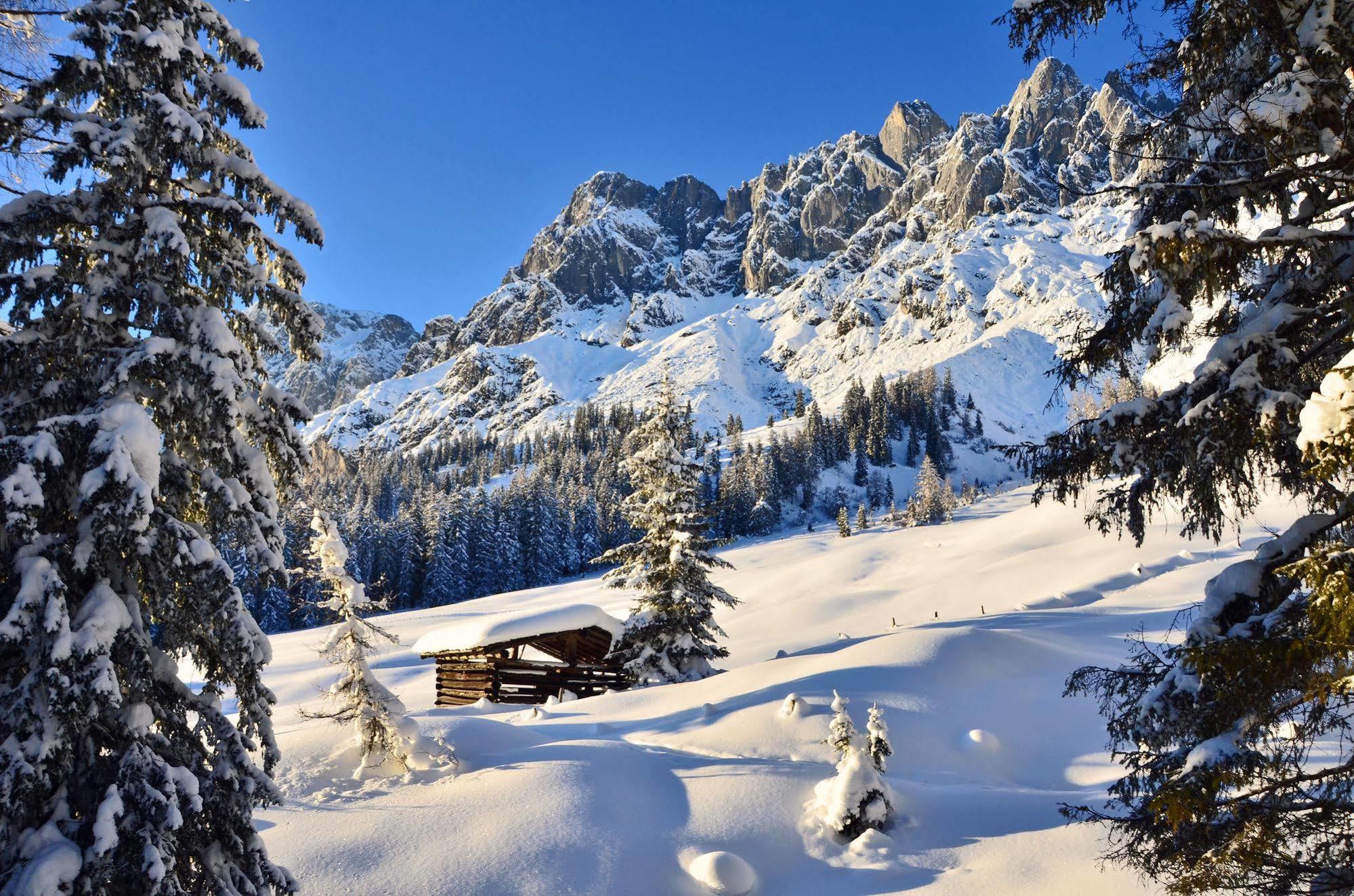 Haus Elisabeth Panzió Mühlbach am Hochkönig Kültér fotó